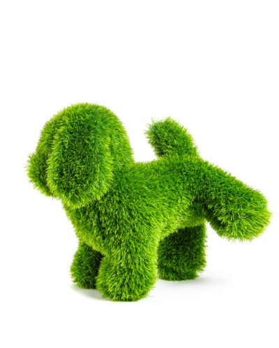 Perro Patita  | Figura Jardín