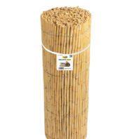 11001-11002-11003-CAÑIZO-ENTERO-1-