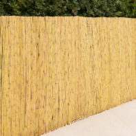 11001-11002-11003-CAÑIZO-ENTERO-2