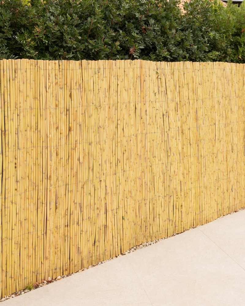 11001-11002-11003-CAÑIZO-ENTERO-2 11001-11002-11003-CAÑIZO-ENTERO-2