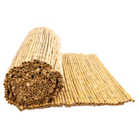 11001-11002-11003-CAÑIZO-ENTERO-3