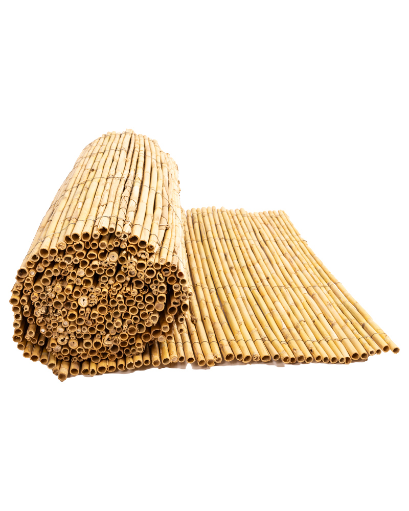 11001-11002-11003-CAÑIZO-ENTERO-3 11001-11002-11003-CAÑIZO-ENTERO-3