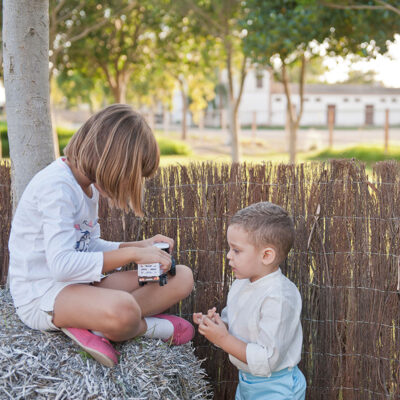 Ecolo 1 - Brezo Importación