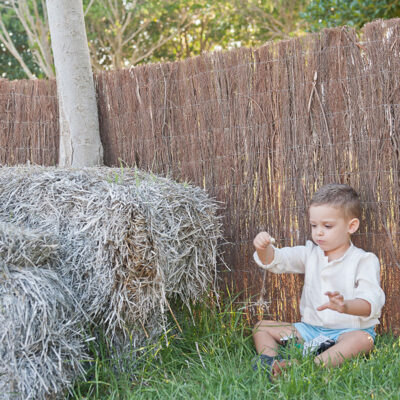 Ecolo 2 Extra - Brezo Importación