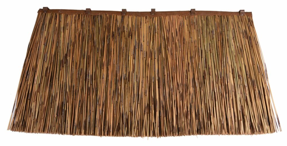 26100_PLACA-DE-JUNCO-AFRICANO-WEB-scaled-1.jpg 26100_PLACA-DE-JUNCO-AFRICANO-WEB-scaled-1.jpg