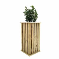 Green grass on a golf field