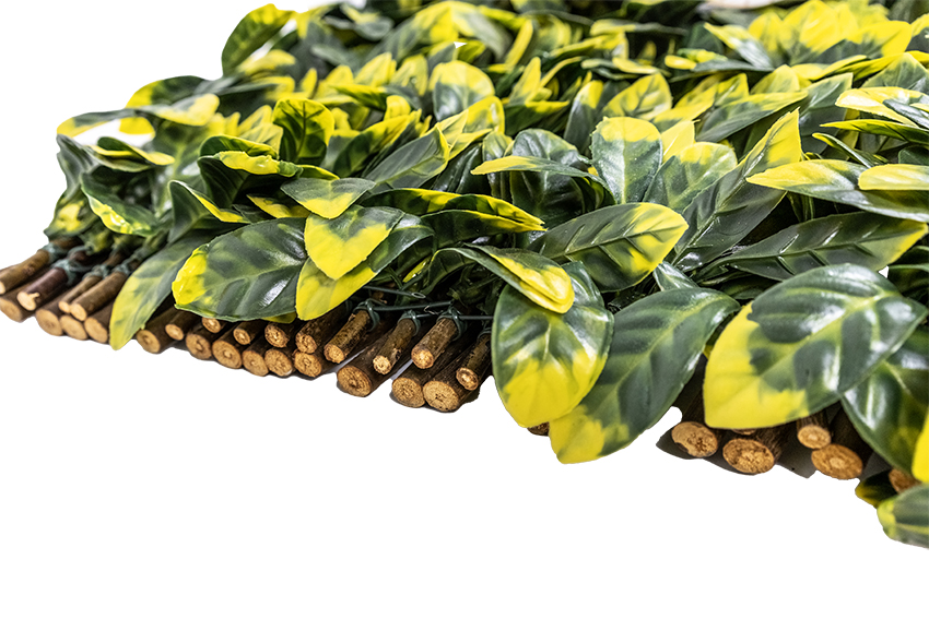 31201_CELOSIA-MIMBRE-CON-HOJAS-LAUREL-1-copia.jpg 31201_CELOSIA-MIMBRE-CON-HOJAS-LAUREL-1-copia.jpg