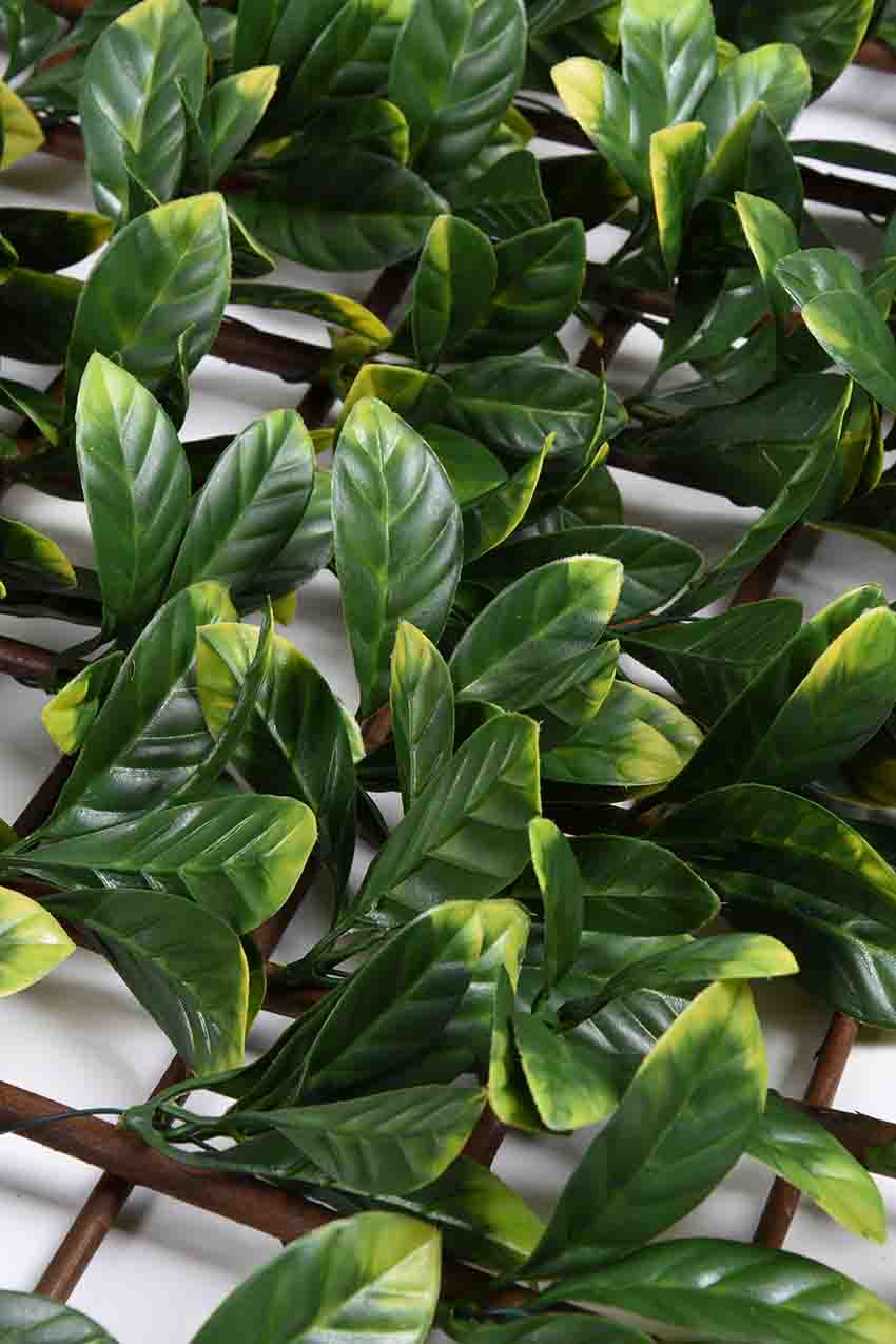 31201_CELOSIA-MIMBRE-CON-HOJAS-LAUREL-3.jpg 31201_CELOSIA-MIMBRE-CON-HOJAS-LAUREL-3.jpg