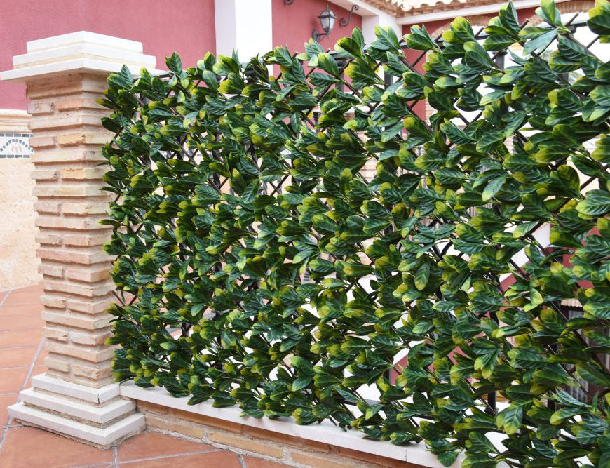 31201_CELOSIA-MIMBRE-CON-HOJAS-LAUREL-4-e1740055434667.jpg 31201_CELOSIA-MIMBRE-CON-HOJAS-LAUREL-4-e1740055434667.jpg