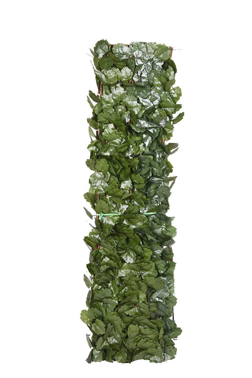 31202_CELOSIA-MIMBRE-CON-HOJAS-SAUCE-1.jpg 31202_CELOSIA-MIMBRE-CON-HOJAS-SAUCE-1.jpg