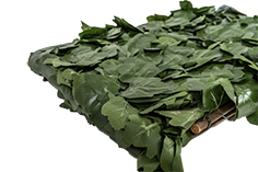 31202_CELOSIA-MIMBRE-CON-HOJAS-SAUCE-2-copia.jpg 31202_CELOSIA-MIMBRE-CON-HOJAS-SAUCE-2-copia.jpg