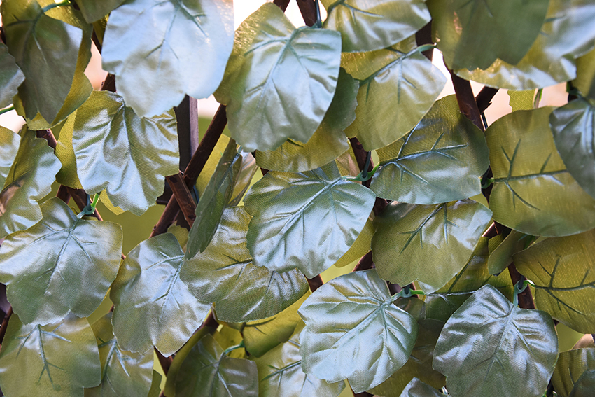 31202_CELOSIA-MIMBRE-CON-HOJAS-SAUCE-3.jpg 31202_CELOSIA-MIMBRE-CON-HOJAS-SAUCE-3.jpg