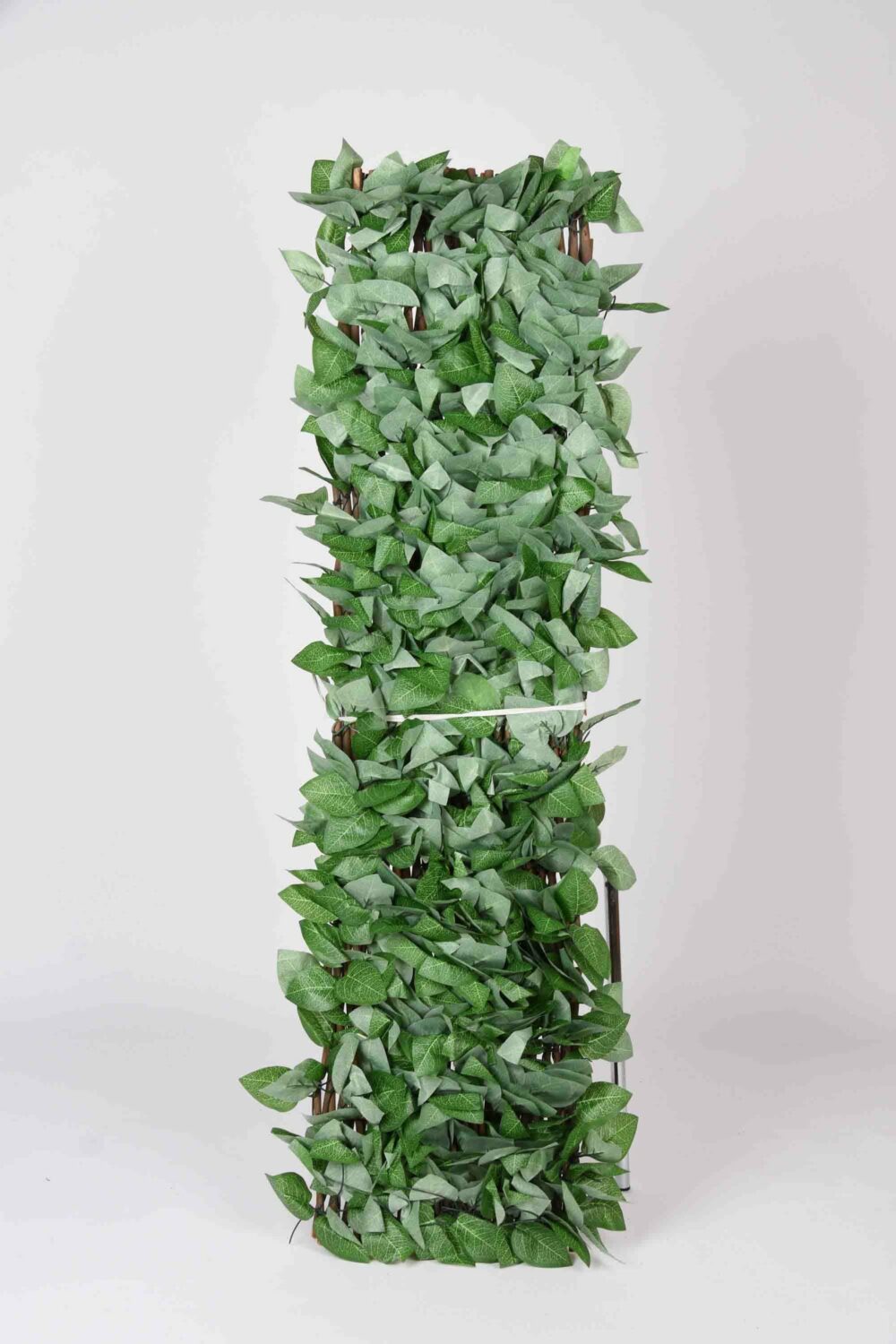 31203_CELOSIA-MIMBRE-CON-HOJAS-ARCE-2-scaled-1.jpg 31203_CELOSIA-MIMBRE-CON-HOJAS-ARCE-2-scaled-1.jpg