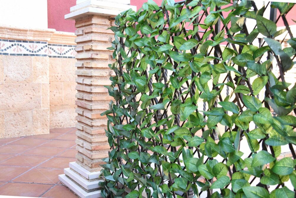 31203_CELOSIA-MIMBRE-CON-HOJAS-ARCE-23-scaled-1.jpg 31203_CELOSIA-MIMBRE-CON-HOJAS-ARCE-23-scaled-1.jpg