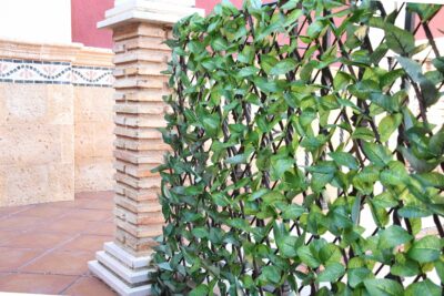 Celosía Mimbre Hoja Arce