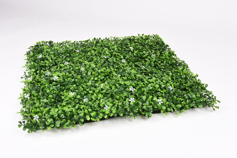 34050_JAZMIN-01.jpg 34050_JAZMIN-01.jpg