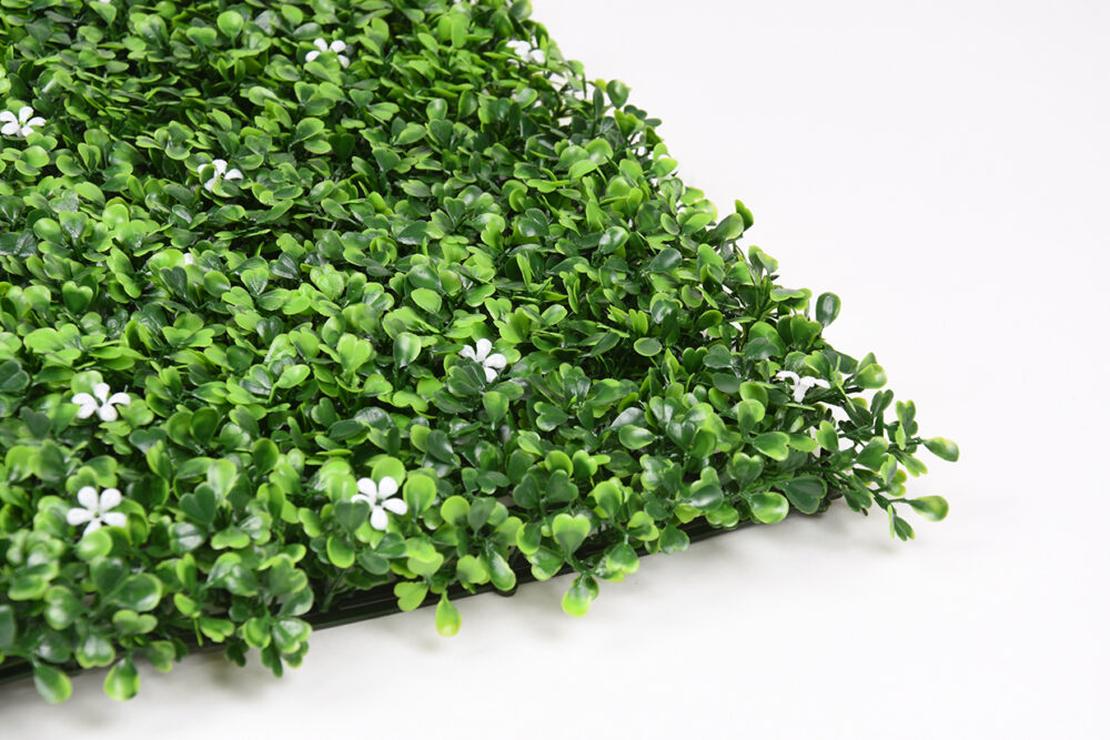 34050_JAZMIN-04.jpg 34050_JAZMIN-04.jpg