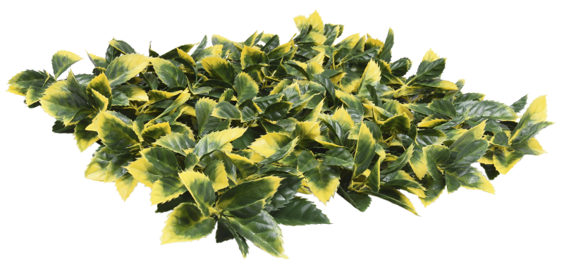 34057_LAUREL-e1697801458556.png 34057_LAUREL-e1697801458556.png