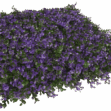 34058_LAVANDA-e1697801402746.png