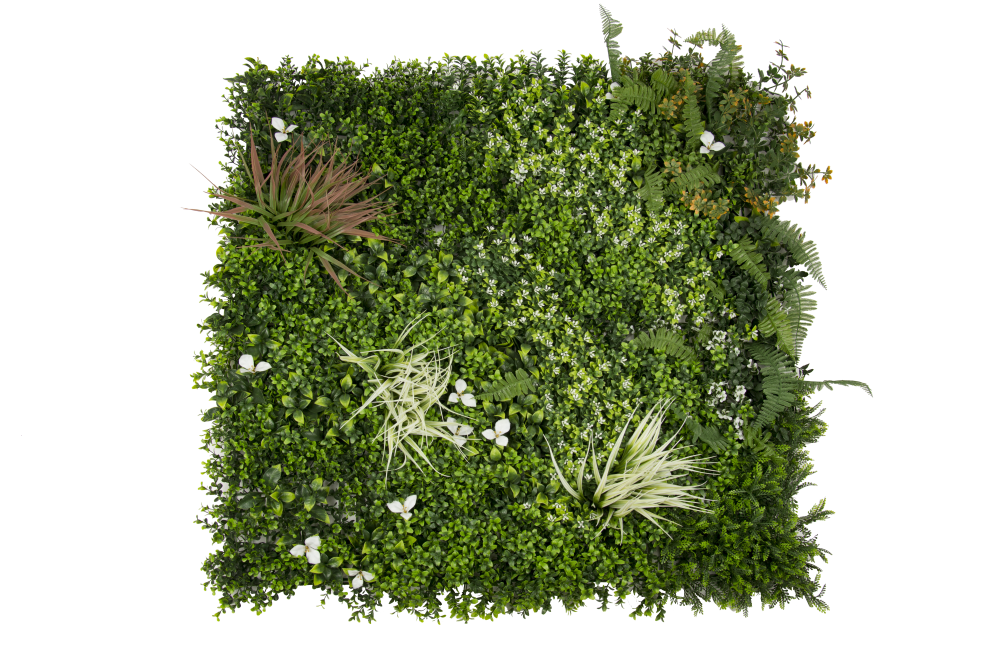 34064_jungla-e1697801857961.png 34064_jungla-e1697801857961.png