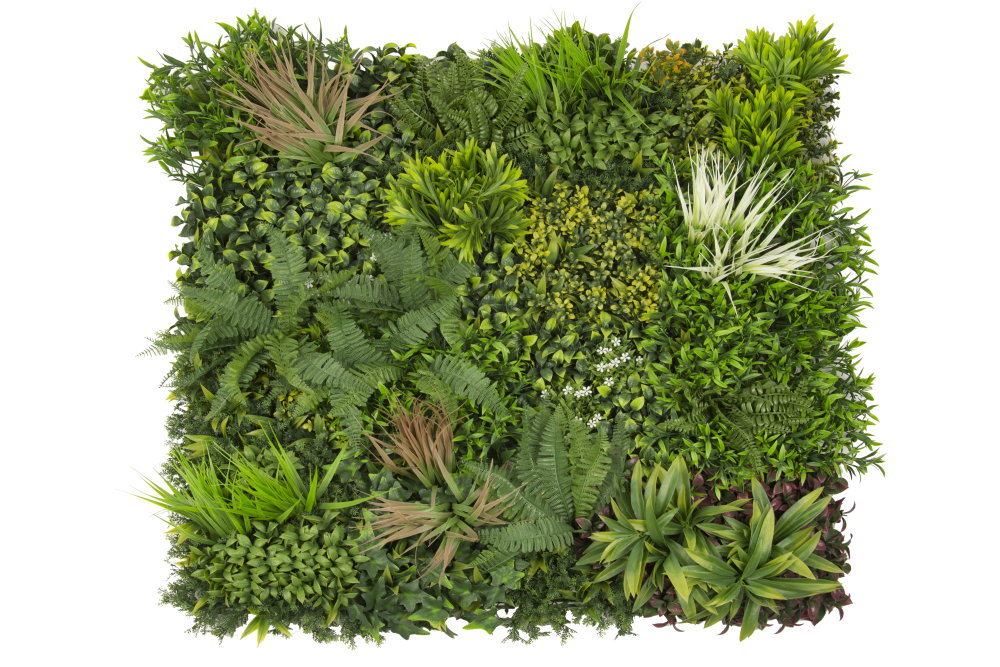 34065_madagascar-e1697801823924.png 34065_madagascar-e1697801823924.png