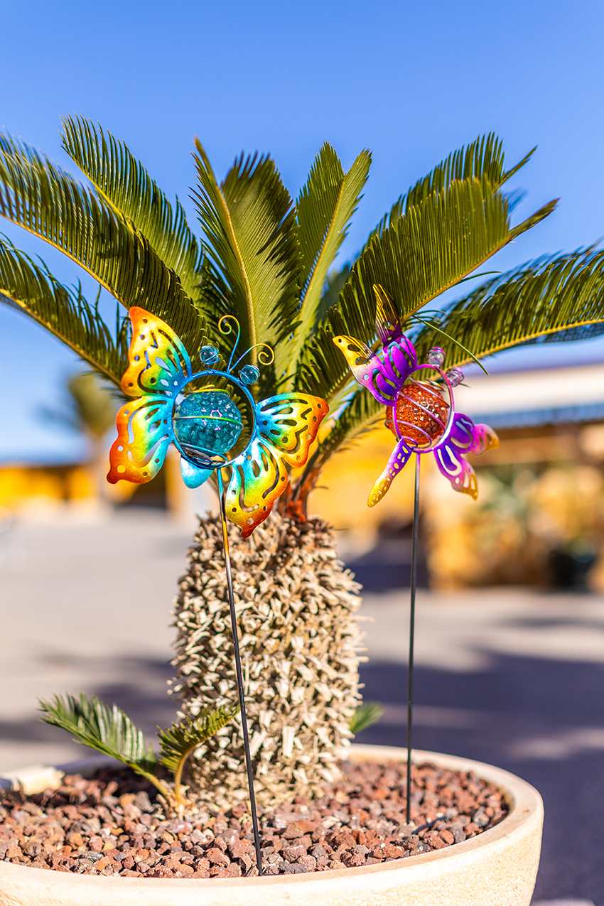 40432_40433_ambiente.jpg 40432_40433_ambiente.jpg