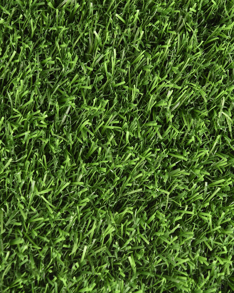 4260-PRIMAVERA-1 4260-PRIMAVERA-1