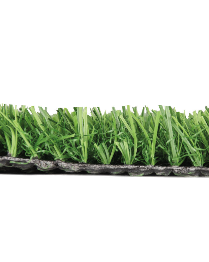 4260-PRIMAVERA-3 4260-PRIMAVERA-3