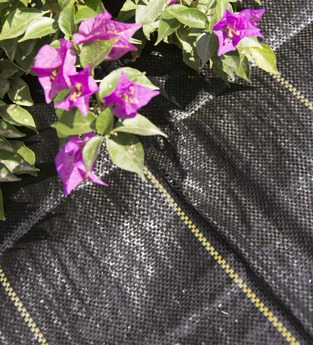 43144_43145_43146_MALLA-ANTIHIERBAS-150-GR-web_2-scaled-e1740734702110.jpg 43144_43145_43146_MALLA-ANTIHIERBAS-150-GR-web_2-scaled-e1740734702110.jpg