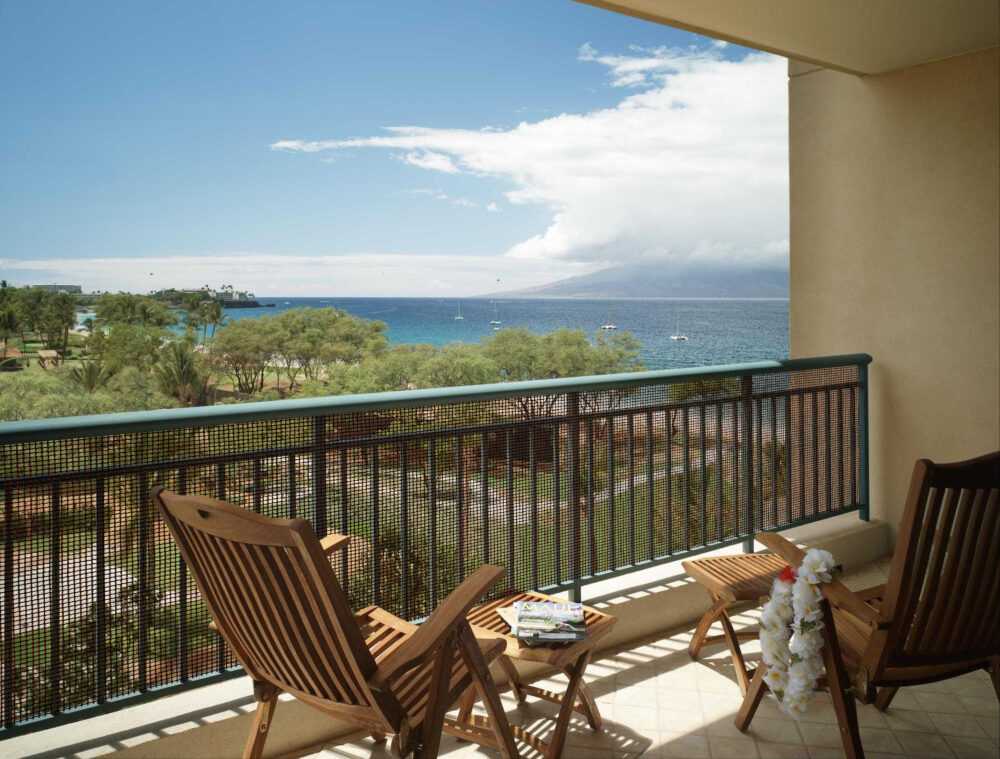 46003_46013_46103_46113_MALLA-PLASTICA-MARRON.jpg 46003_46013_46103_46113_MALLA-PLASTICA-MARRON.jpg