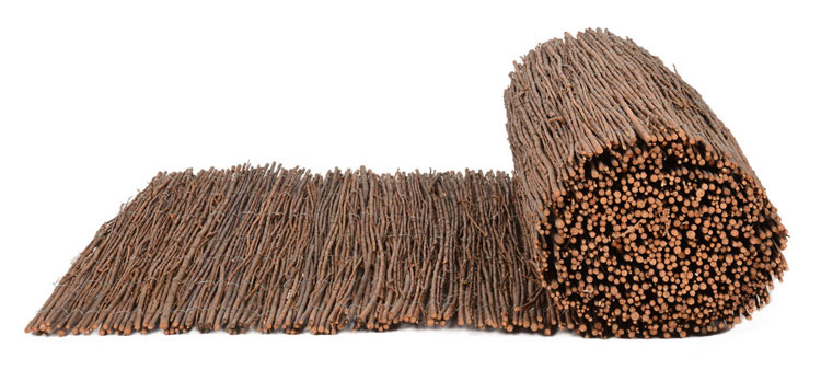 8431978172017_C1.jpg 8431978172017_C1.jpg