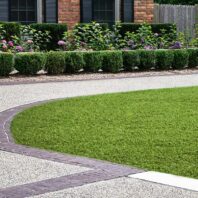 BAHAMAS-CEPED-ARTIFICIAL-CAÑIZOS-FAURA-2