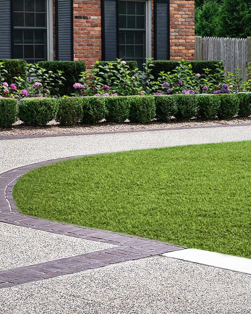 BAHAMAS-CEPED-ARTIFICIAL-CAÑIZOS-FAURA-2 BAHAMAS-CEPED-ARTIFICIAL-CAÑIZOS-FAURA-2