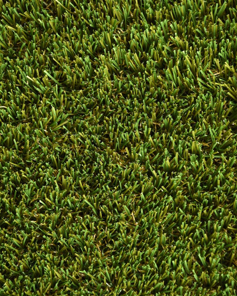 BAHAMAS-CEPED-ARTIFICIAL-CAÑIZOS-FAURA-3 BAHAMAS-CEPED-ARTIFICIAL-CAÑIZOS-FAURA-3