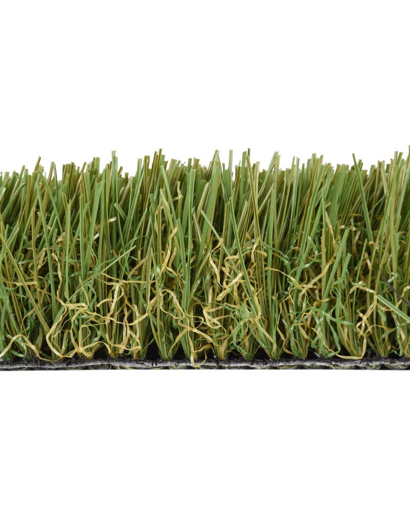 BAHAMAS-CEPED-ARTIFICIAL-CAÑIZOS-FAURA-4 BAHAMAS-CEPED-ARTIFICIAL-CAÑIZOS-FAURA-4