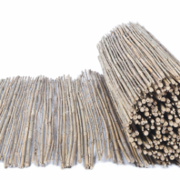 BAMBU-ENTERO-IMPORTACION-e1697813741294.png