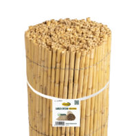 CAÑIZO-ENTERO-NACIONAL