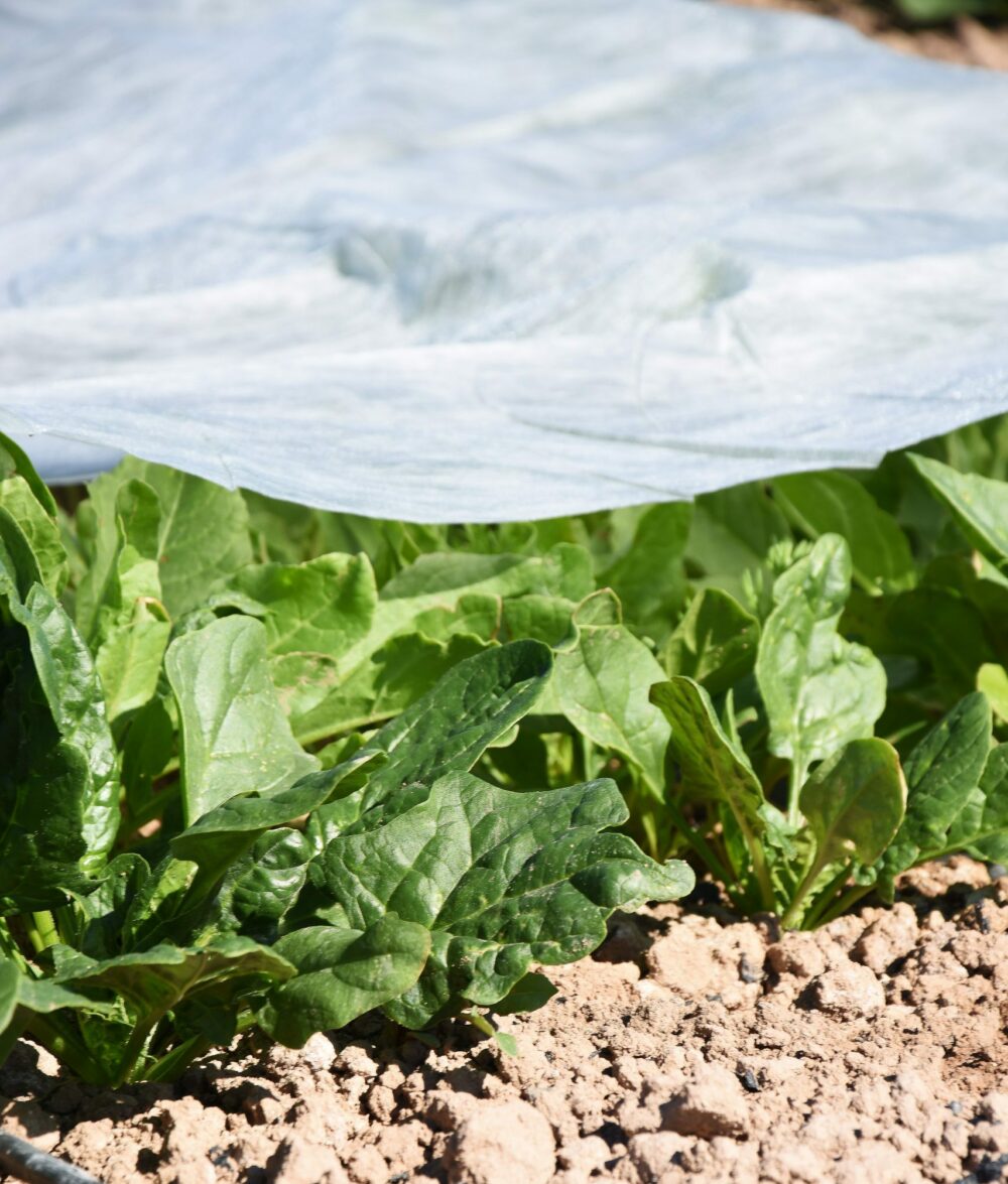 DSC_0005-scaled-e1697005743415.jpg DSC_0005-scaled-e1697005743415.jpg