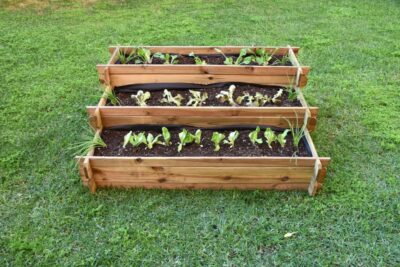 Huerto Urbano Escalera