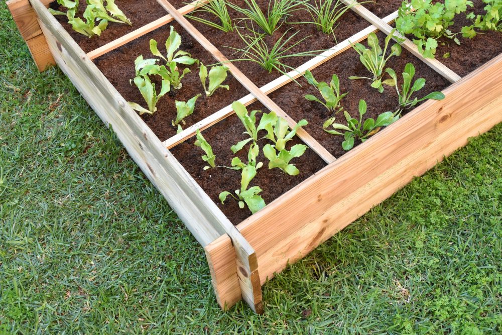 DSC_0588-scaled-e1697808736574.jpg DSC_0588-scaled-e1697808736574.jpg