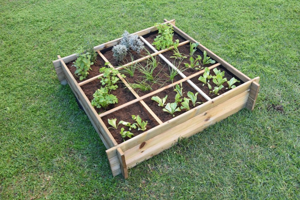 DSC_0623-scaled-e1697808721580.jpg DSC_0623-scaled-e1697808721580.jpg