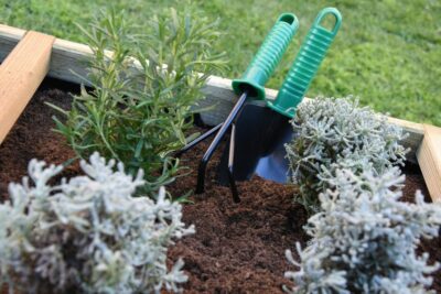 Pack Pala y Rastrillo