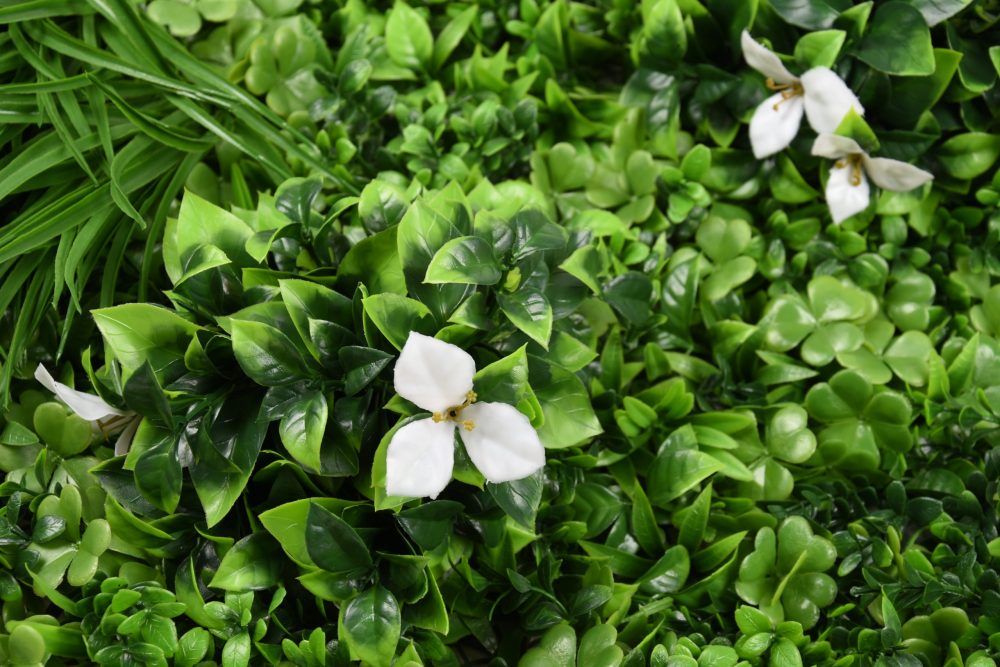 DSC_1024-scaled-e1697802173608.jpg DSC_1024-scaled-e1697802173608.jpg