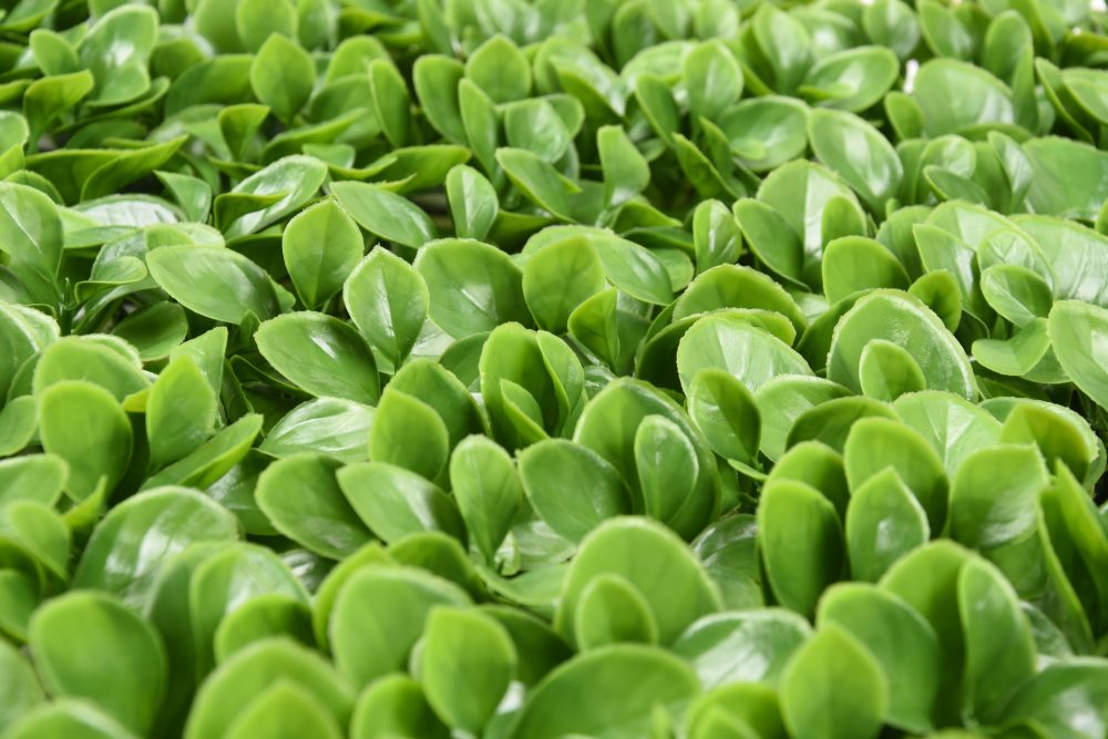 DSC_1299-scaled-e1697801938386.jpg DSC_1299-scaled-e1697801938386.jpg