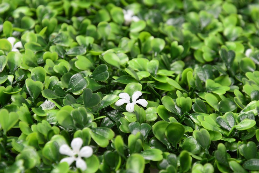 DSC_1396-scaled-e1697801894576.jpg DSC_1396-scaled-e1697801894576.jpg