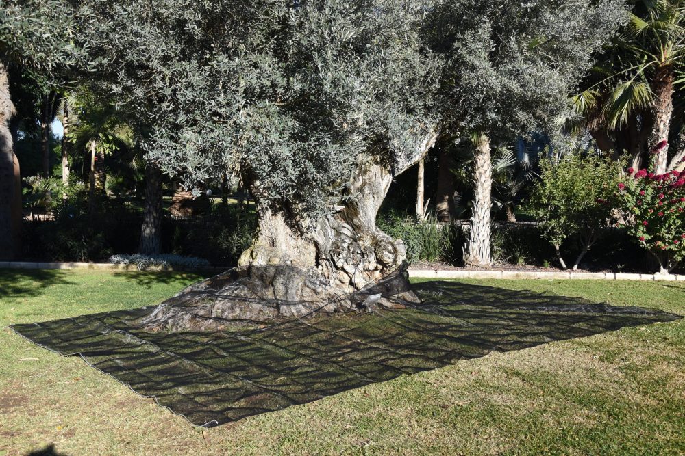 DSC_4333-scaled-e1697802357532.jpg DSC_4333-scaled-e1697802357532.jpg