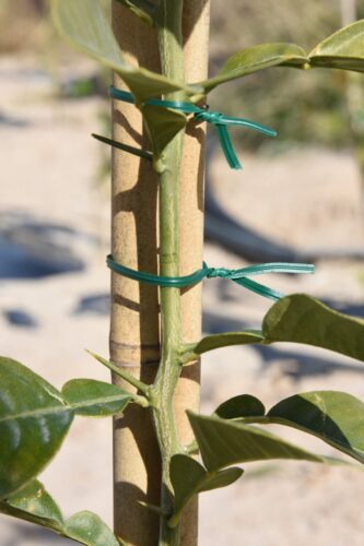 Alambre Plastificado con Cortador