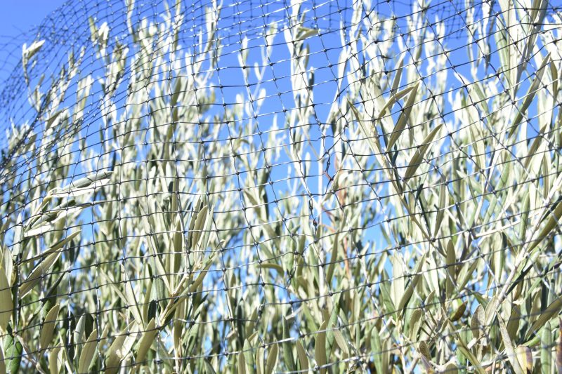 DSC_6137-scaled-e1697802830249.jpg DSC_6137-scaled-e1697802830249.jpg