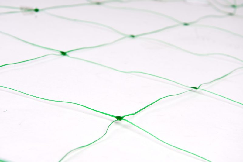 DSC_7085-scaled-e1697802541398.jpg DSC_7085-scaled-e1697802541398.jpg