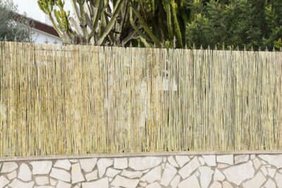 Cañizo Partido Nacional